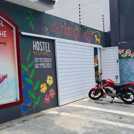 "Le Chat Qui Peche" Hostel A 150 Metros Da Praia De Pajucara Maceió 외부 사진